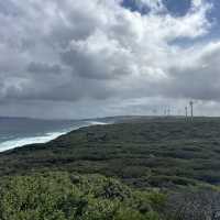 Western Australia-Wind Farm