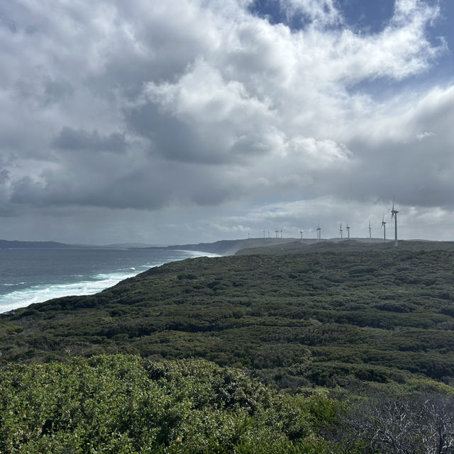 Western Australia-Wind Farm