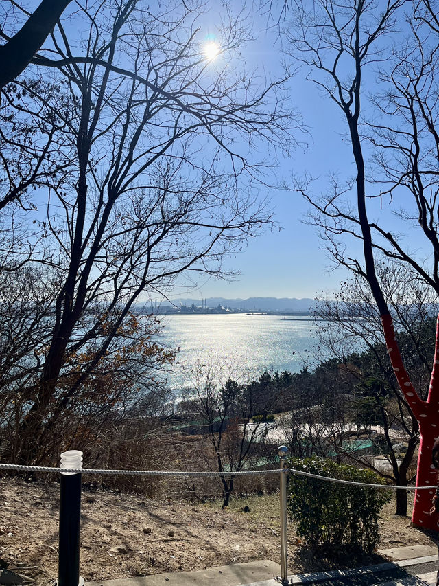 ๐
ํฌํญ์์ ๋ง์ดํ๋ ํน๋ณํ ํ๋ฃจ! ํธ๋ฏธ๊ณถ+์์ผ๋+์คํ์ด์ค์ํฌ ์ฝ์ค ์ถ์ฒ๐ ๐
ํฌํญ์์ ๋ง์ดํ๋ ํน๋ณํ ํ๋ฃจ! ํธ๋ฏธ๊ณถ+์์ผ๋+์คํ์ด์ค์ํฌ ์ฝ์ค ์ถ์ฒ๐