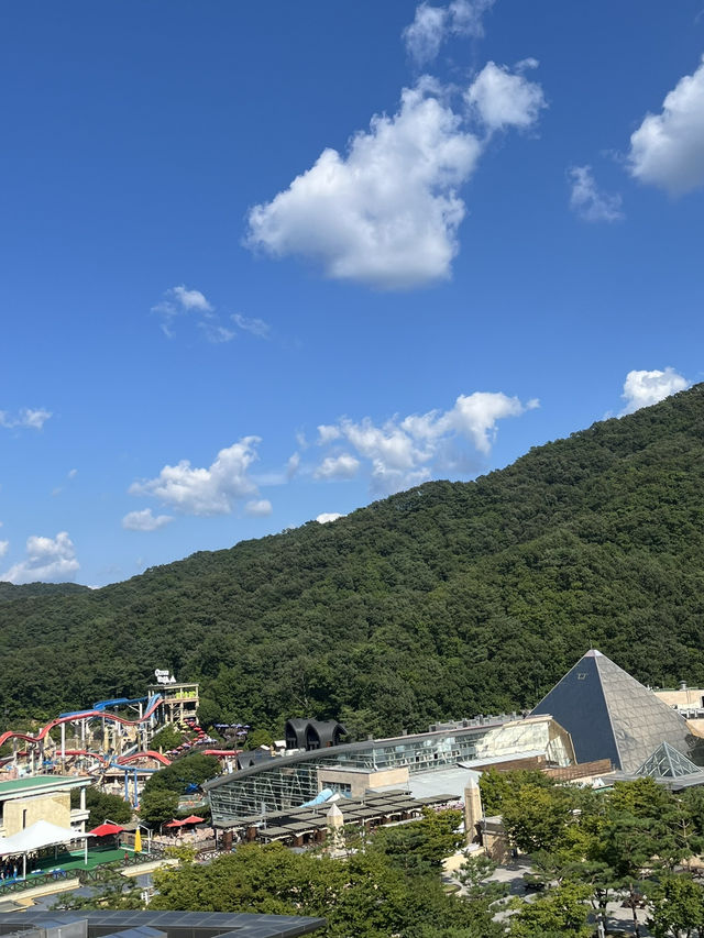 강원도 호캉스하기 좋은 소노리조트 비발디파크🚠 강원도 호캉스하기 좋은 소노리조트 비발디파크🚠