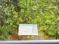 Canopy Bridge, Taman Botani Putrajaya