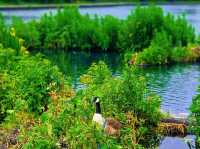 Boggart Hole Clough – Legends and Landscapes