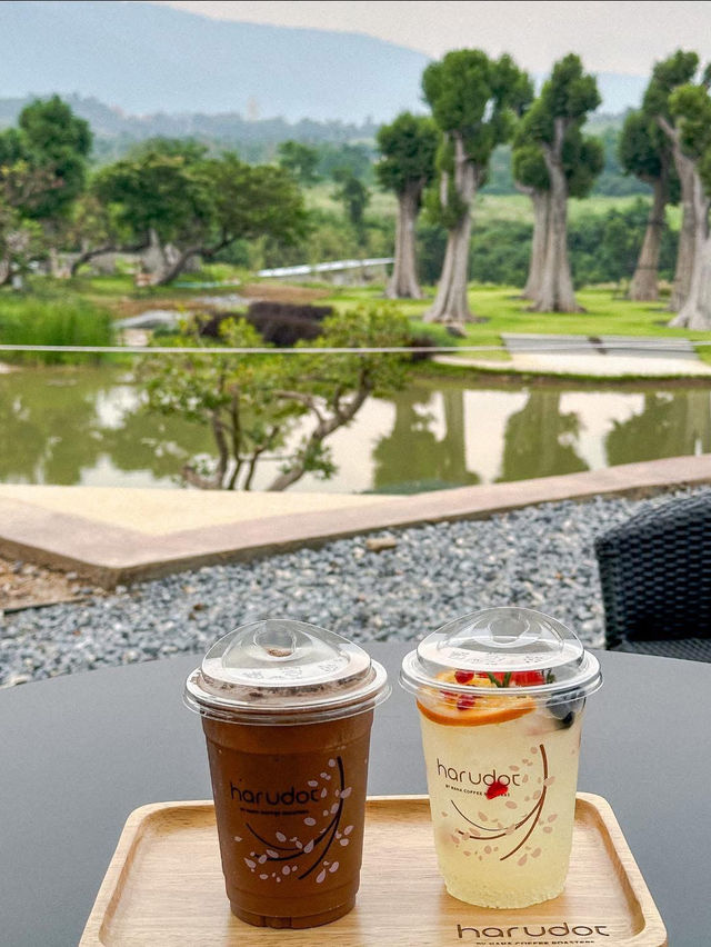 ไวป์ khaoyai 🌳ฟิลเมืองนอกสุดๆ ไวป์ khaoyai 🌳ฟิลเมืองนอกสุดๆ