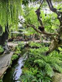 คาเฟ่สีเขียว เติมพลังธรรมชาติ 🌿☕✨