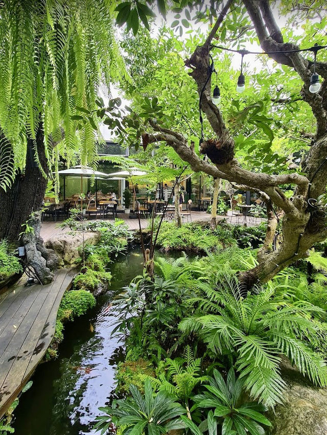 คาเฟ่สีเขียว เติมพลังธรรมชาติ 🌿☕✨