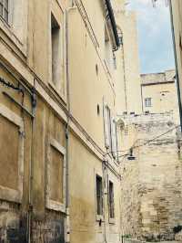 Université d’Avignon – A Journey into Learning & Heritage