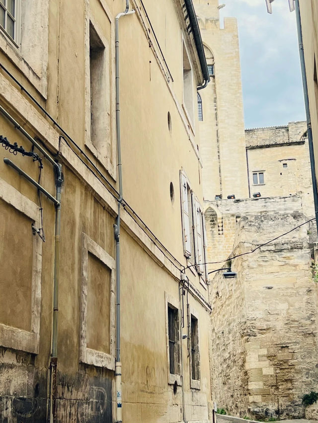 Université d’Avignon – A Journey into Learning & Heritage