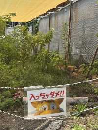 【佐賀】最恐に楽しいメルヘン村
