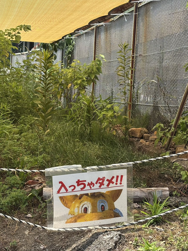 【佐賀】最恐に楽しいメルヘン村