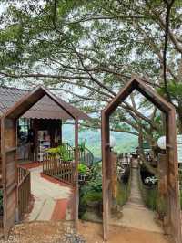 The Giant Chiangmai คาเฟ่บนต้นไม้