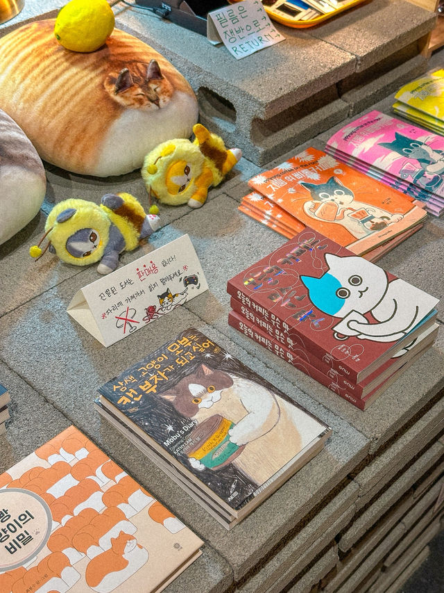 동대구역 실내 데이트 하기 좋은 심플책방