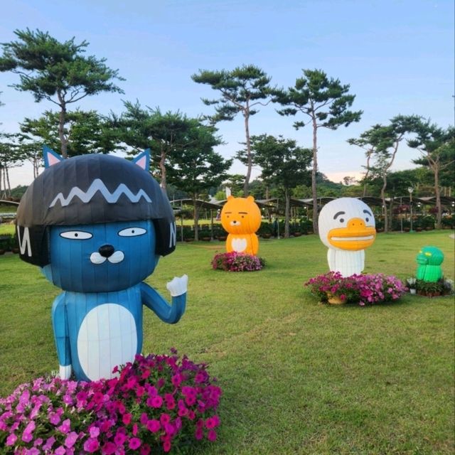 🌸 회산 백련지, 여름에 만나는 연꽃 천국