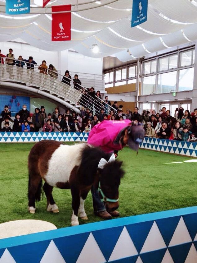 北海道馬主題公園親子半日遊推介 🐴