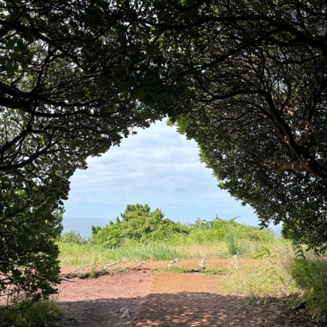 도두봉, 제주에서 만나는 짧고 상쾌한 오름 산책 🌿 도두봉, 제주에서 만나는 짧고 상쾌한 오름 산책 🌿