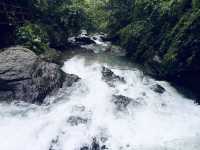 🌿「追隨水聲，一步步走進山林的心跳節奏。」
