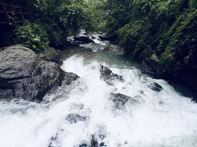 🌿「追隨水聲，一步步走進山林的心跳節奏。」