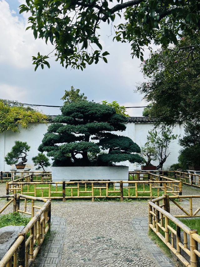 Practical Tips for a Perfect Visit