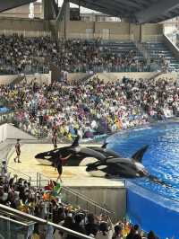 HaiChang Ocean Park ShangHai