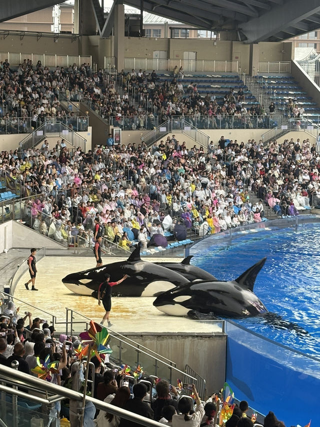 HaiChang Ocean Park ShangHai
