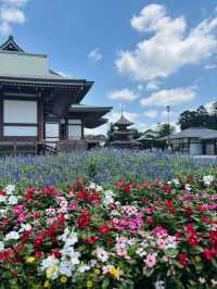1000年以上の歴史を持つ成田山新勝寺でパワーチャージ💪⟡.·
