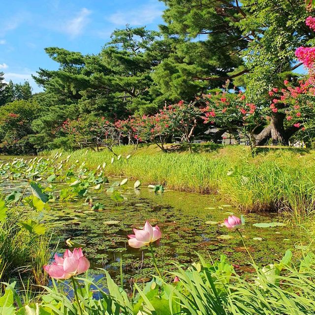 Seochulji Pond Seochulji Pond