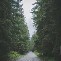 Tatra National Park, Zakopane