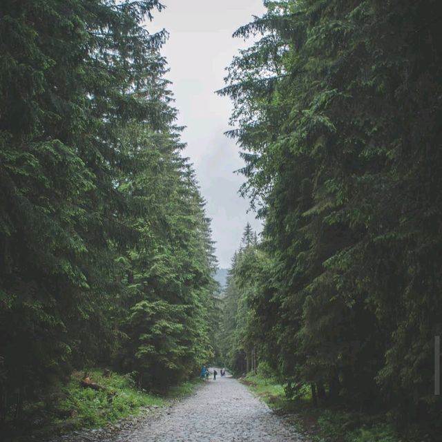 Tatra National Park, Zakopane