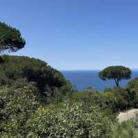 Donabo Gardens – Tangier’s Serene Botanical Refuge Overlooking the Sea