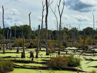 🏞️ 探索印第安納沙丘國家公園的美景🌅