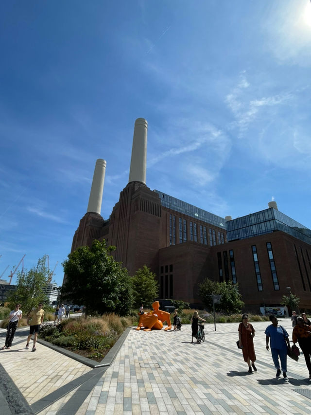 Nature Meets City🌳