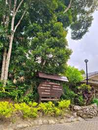 Discover Botanical Wonders🌱Japanese Style Village