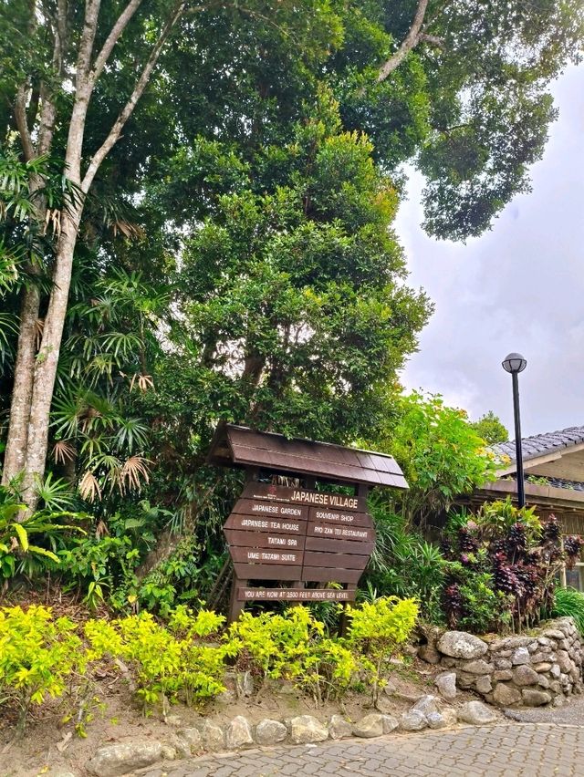 Discover Botanical Wonders🌱Japanese Style Village