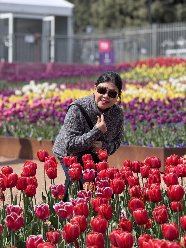 Tulip Festival Fun🎉