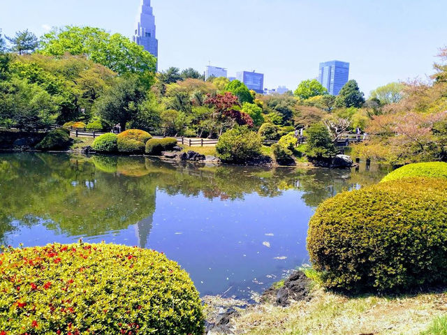 🌸 Seasonal Serenity at Shinjuku Gyoen National Garden