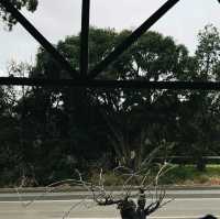 Cape Lavender Teahouse