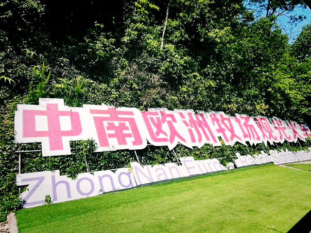🐄 中南歐洲牧場｜走進綠野歐風的自然教室