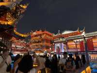 Nighttime Magic at Yu Garden: Shanghai’s Must-Visit Spot ✨🏮