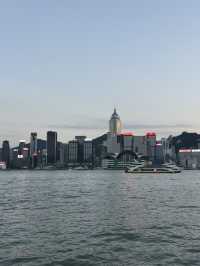 스타의거리