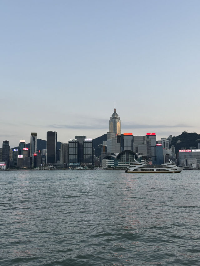 스타의거리