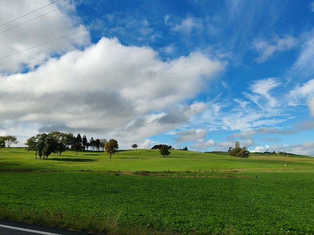 The Hamilton New Zealand Temple: A Divine Light Atop the Hill