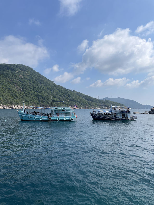 ดำน้ำเกาะเต่า ใต้ทะเลที่ปะการังสวยที่สุด ⚓️🛟