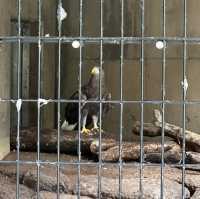 北海道旭川市旭山動物園