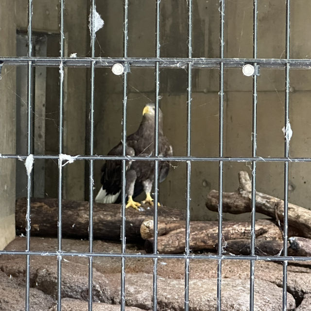 北海道旭川市旭山動物園
