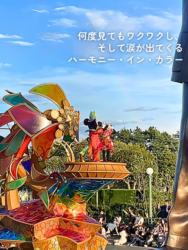 【 私の大好きなディズニーランド🎄 】