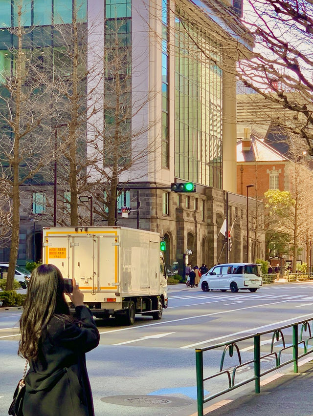 🗼긴자에서 쇼핑하고, 미나토구에서 도쿄타워 야경까지! 🗼긴자에서 쇼핑하고, 미나토구에서 도쿄타워 야경까지!