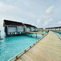 Tropical Bliss at Kuramathi Maldives