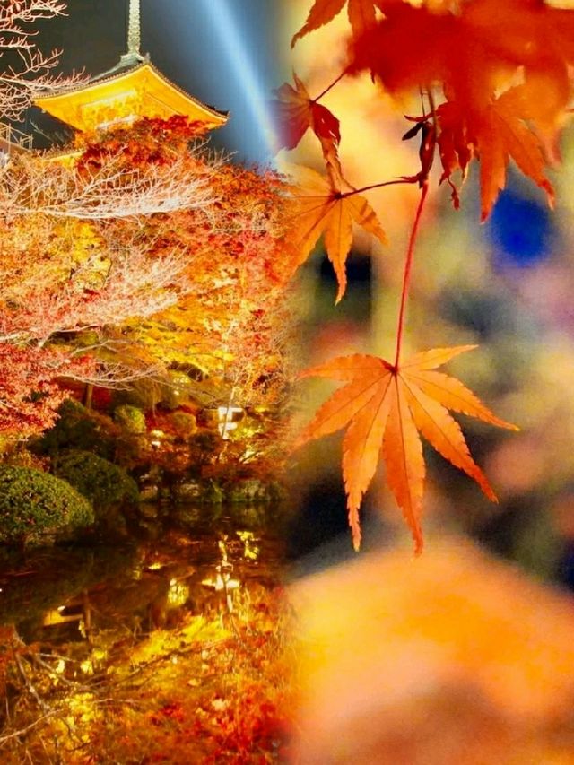 🍂 Kiyomizudera Temple – Kyoto’s Autumn Masterpiece in Crimson and Gold 🇯🇵✨