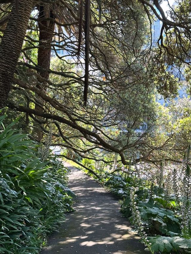 A Peaceful Green Escape in the Heart of Auckland