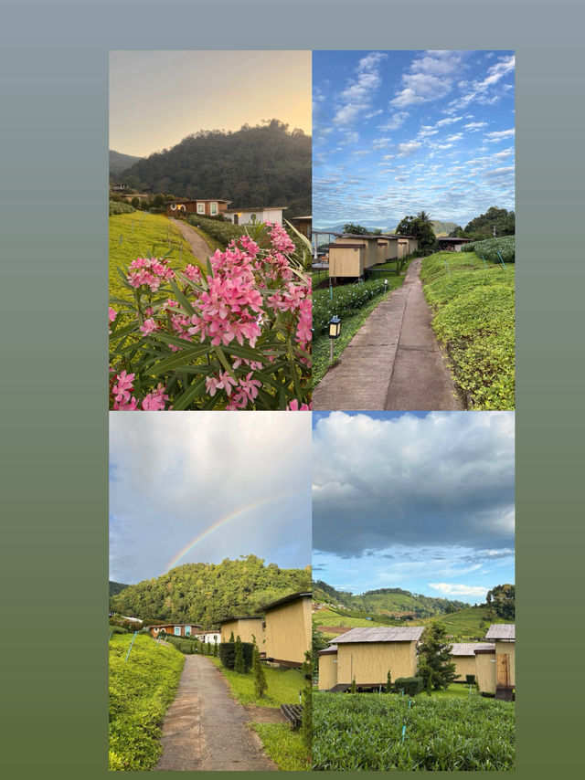 ที่พักโฮมสเตย์ เชียงใหม่ชื่อ   เจอเขา โฮมสเตย์