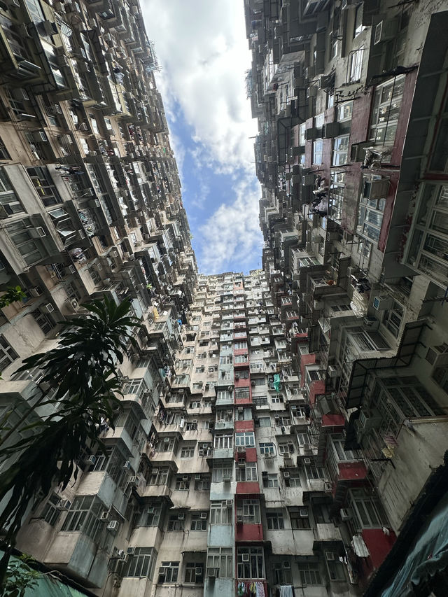 Hong Kong: Where Neon Dreams Meet Tradition 🇭🇰✨ Hong Kong: Where Neon Dreams Meet Tradition 🇭🇰✨